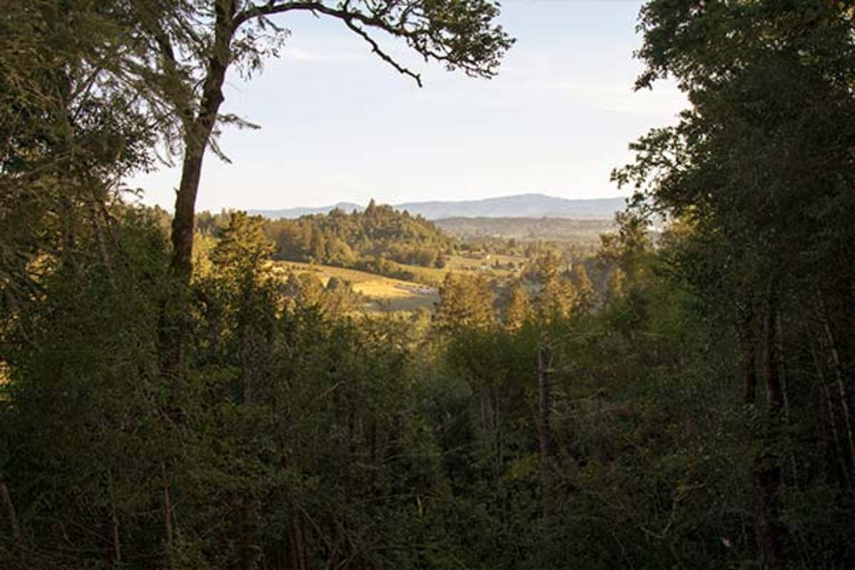 Azure Acres Recovery Center - Sebastopol Reviews, Costs, Program ...